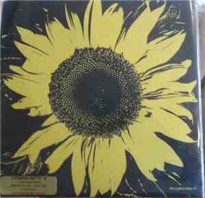 Train Black - Beginning To Understand