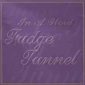 Fudge Tunnel - In A Word