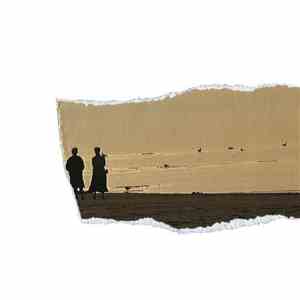 Gasoline Rainbows -  Sepia Sands