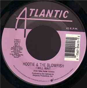 Hootie & The Blowfish - I Will Wait