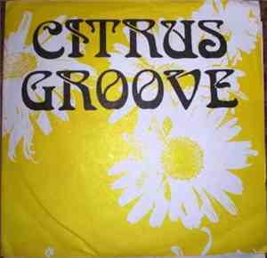 Citrus Groove - Hit The Ground