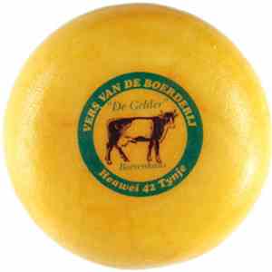 Kleez.One - The Cheese Factory