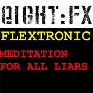 Flextronic - Meditation For All Liars