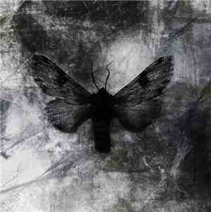 My Filthy Heart - This Exquisite Atrocity