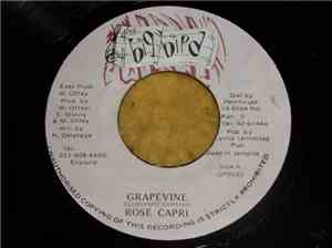 Rose Capri - Grapevine