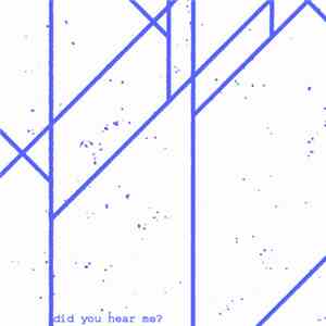 Needless Noise - Did You Hear Me?