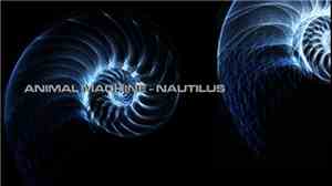 Animal Machine  - Nautilus