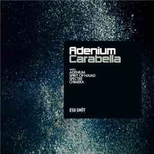 Adenium  - Carabella