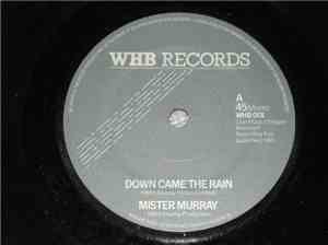 Mister Murray - Down Came The Rain