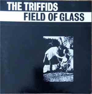 The Triffids - Field Of Glass