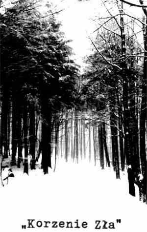 Wschód / Simeris - Korzenie Zła