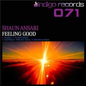 Shaun Ansari - Feeling Good