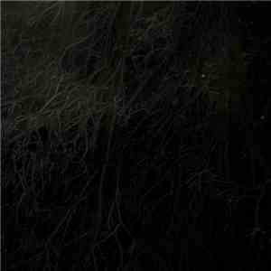 Zeit  - The Deep