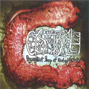 Cystgurgle - Regurgitant Slurp Of Mashed Embryo