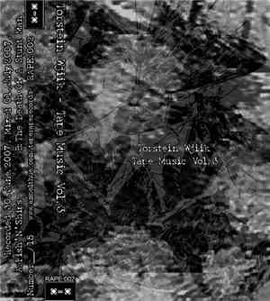 Torstein Wjiik - Tape Music Vol. 3