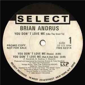 Brian Andrus - You Don't Love Me (Like You Used To)