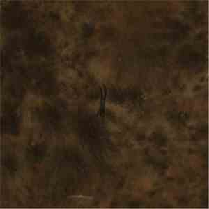 Circle Of Ouroborus - Streams