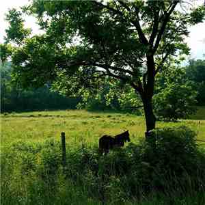 Milieu - Quebrith & Yarrow