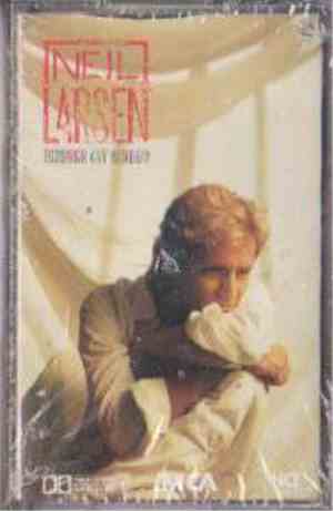 Neil Larsen - Through Any Window