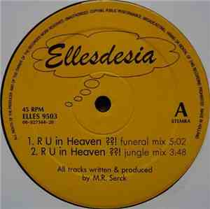 The Hallucinary Crew - R U In Heaven??!