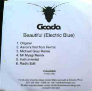 Cicada - Beautiful (Electric Blue)