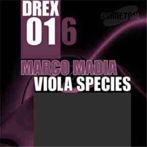 Marco Madia - Viola Species