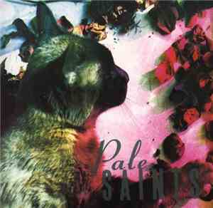 Pale Saints - The Comforts Of Madness