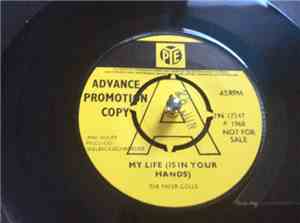 The Paper Dolls - My Life (Is In Your Hands)