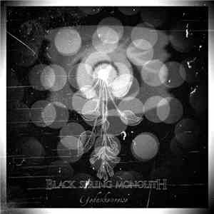 Black Spring Monolith - Gedankenreise