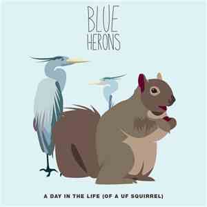 Blue Herons - A Day In The Life (Of A UF Squirrel)