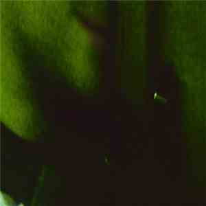 Shultz - 1045am