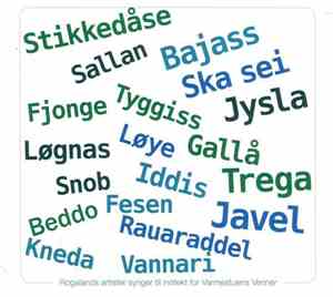 Varmestuens Venner - Stikkedåse, Sallan...