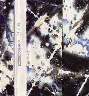 Morphogenesis - Morphogenesis