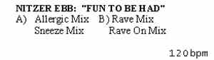 Nitzer Ebb - Fun To Be Had