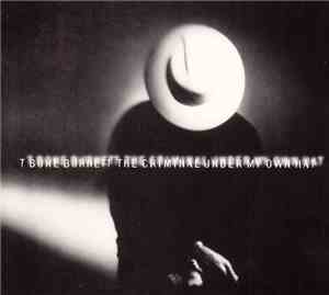 T Bone Burnett - The Criminal Under My Own Hat