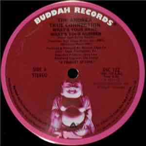 The Andrea True Connection - What's Your Name, What's Your Number / Fill Me ...