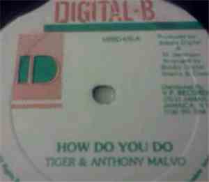 Tiger & Anthony Malvo - How You Do