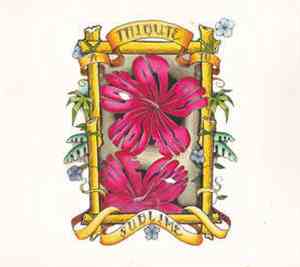 Various - Look At All The Love We Found: A Tribute To Sublime
