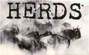 Herds - Demo