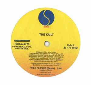 The Cult - Wild Flower