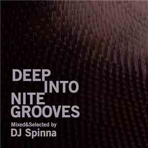 DJ Spinna - Deep Into Nite Grooves