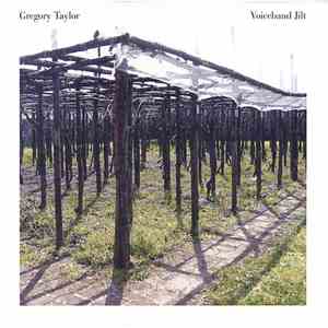 Gregory Taylor - Voiceband Jilt