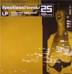 LP - While You Were Gone
