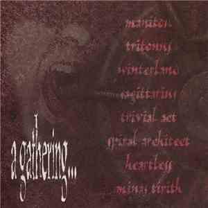 Various - A Gathering... Of 8 Norwegian Prog. Metal Bands