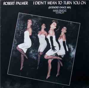 Robert Palmer - I Didn't Mean To Turn You On