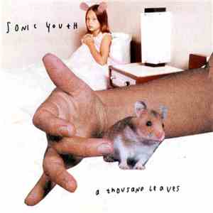 Sonic Youth - A Thousand Leaves