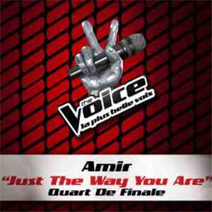 Amir - Just The Way You Are