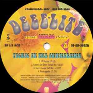 Deee-Lite - Picnic In The Summertime