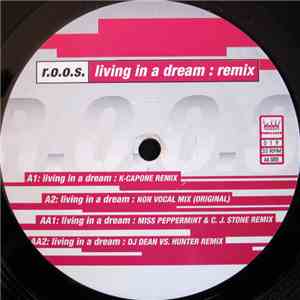 R.O.O.S. - Living In A Dream (Remix)