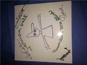 Veruca Salt - Number One Blind